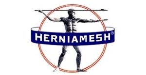 herniamesh 300x155.jpg